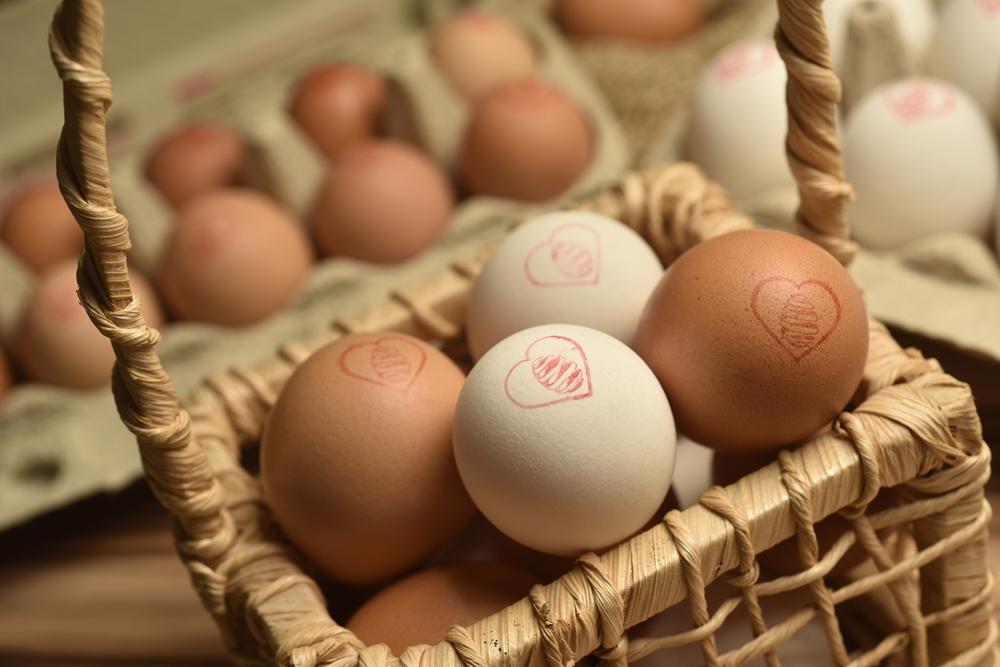 Granja Mantiqueira - Foto Bruno de Lima